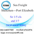 Flete mar del puerto de Shenzhen a Port Elizabeth